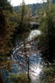 /album/natuur-en-landschap/dsc-815s4-jpg1/