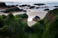 /album/natuur-en-landschap/dsc-1159-jpg/