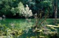 /album/natuur-en-landschap/dsc-8175sd-jpg1/
